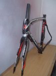 dogma 2011 011.jpg