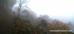 niebla_k.JPG