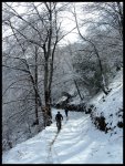 DSCN8008.jpg