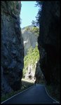 P1010159-WEB.jpg