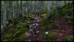 P1010674.jpg