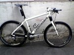 Cannondale .jpg