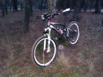 IMAG0022.jpg