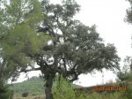 DSCN1535.JPG