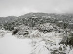 01 HOYO NEVADO.jpg