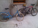 IMG00104-20110314-1249.jpg