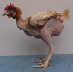 gallina.jpg