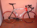 colnago.jpg