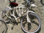 BM_bonebike599.jpg