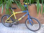 Bici nene 04.JPG