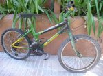 Bici nene 05.JPG