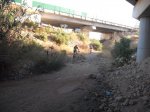 DSCF1129 [faro].JPG