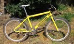 Cannondale M800 gialla (profilo).jpg