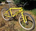 Cannondale M800 gialla (trequarti)rid.jpg