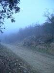 DSCN0290_360x480.jpg