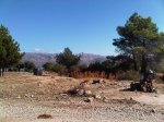 Moralzarzal-20111030-00061.jpg