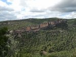 Foto0156.jpg
