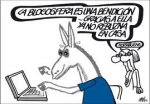 burro blog.jpeg