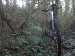 2011-11-04_17-30-56_327.jpg