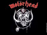 motorhead_1.jpg