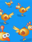 040405_poule.gif