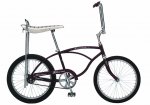 schwinn_STINGRAY.jpg