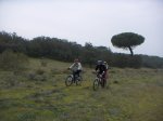PICT0010.JPG