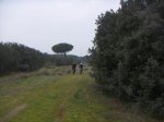 PICT0011.JPG