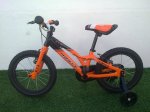 1 bike sergio reducida.JPG