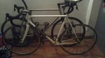 lemond 003.jpg