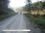 DSC02600.JPG