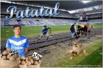 Patatal+Oviedo+Carlos+Tartiere+campo.jpg