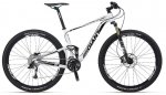 Anthem_X_29er_1.jpg