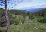 OÃ±a 2010 021.JPG