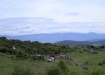 OÃ±a 2010 025.JPG