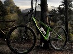 2012-01-29- Collserola 01.jpg