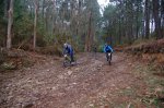 dsc00461v.jpg