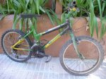 Bici nene 05.JPG