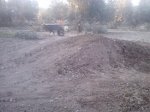 IMG111.jpg