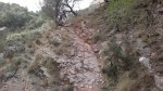 250320122351.jpg