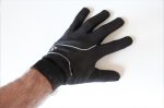 Glove1.jpg