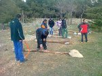 IMG-20120406-WA0010.jpg