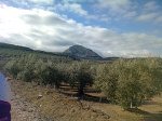 IMG-20120407-WA0005.jpg