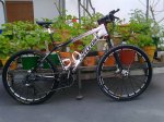 cannondale martinez.jpg