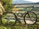 bianchi.jpg