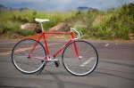 keirin-njs-samson-4210_1.jpg