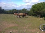 IMG-20120501-WA0016.jpg