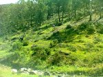 IMG-20120501-WA0019.jpg