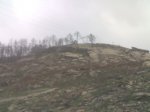 04032007640.jpg