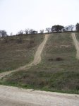 100_2471.jpg
